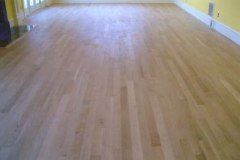 Wood Floors Project 3