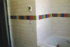 Bathrooms Project 2