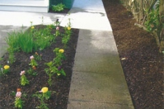 Walkways Project 11